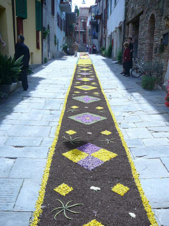 Immagine:Infiorata2008Margherita2.JPG