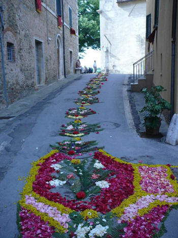 Immagine:Infiorata2008Sole2.JPG