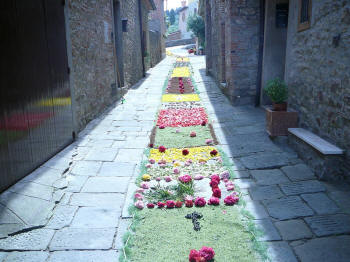 Immagine:Infiorata2008Orti3.JPG