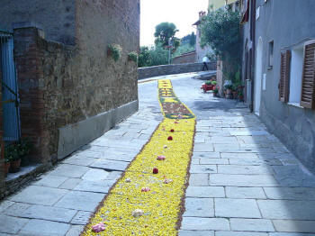 Immagine:Infiorata2008Orti4.JPG