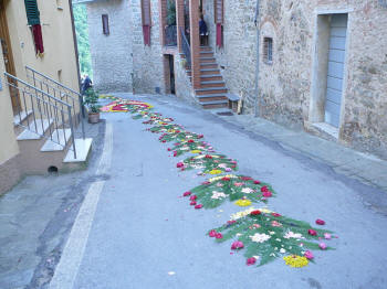 Immagine:Infiorata2008Sole1.JPG