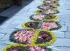 Immagine:Infiorata2008ViaFerrari3.JPG