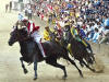 Il Palio di Siena